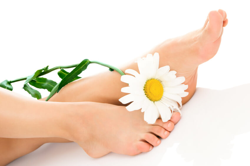 Woman legs with daisy flower isolated on white background